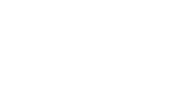 The Sparks Brothers