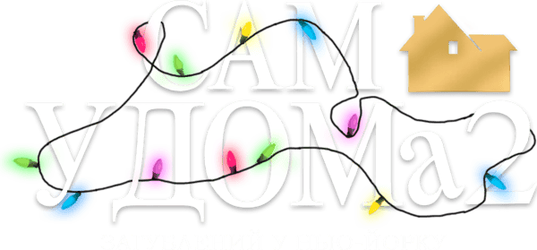 Сам удома 2: Загублений у Нью-Йорку