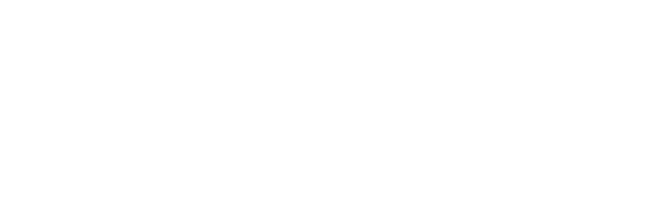 Nom de code : Novembre