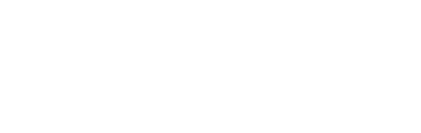 מיקי 17