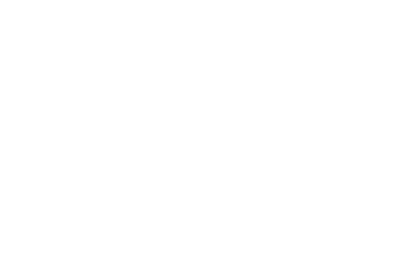 Tur