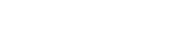 Piin elämä