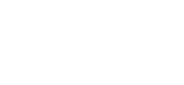 แสบ ซ่าส์ แบบว่าบอดี้การ์ด 2