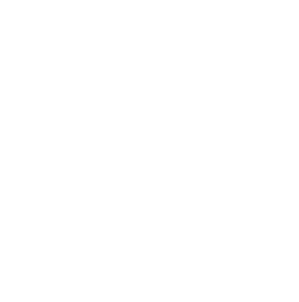 El Padrino II