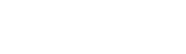 Indiana Jones și căutătorii arcei pierdute