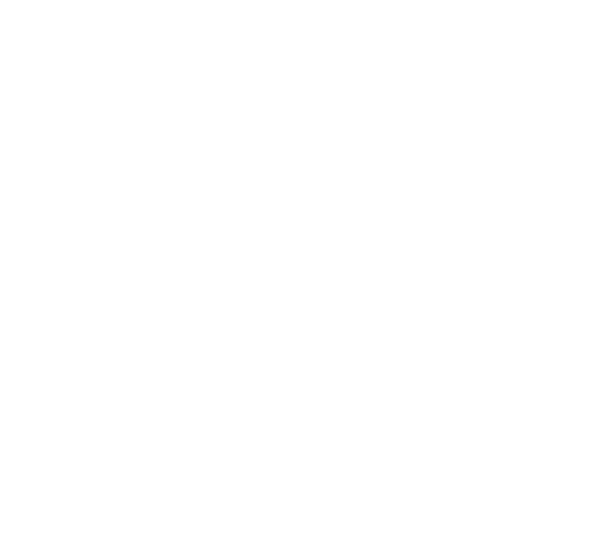 28 дни по-късно