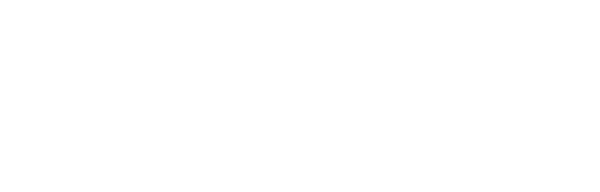 Pi gyvenimas