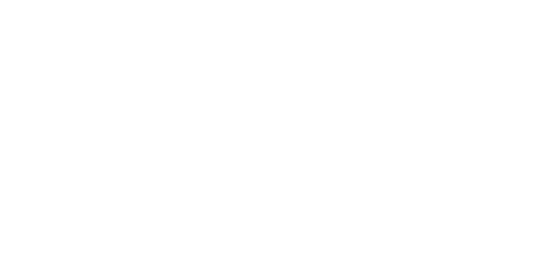 Den vilda roboten