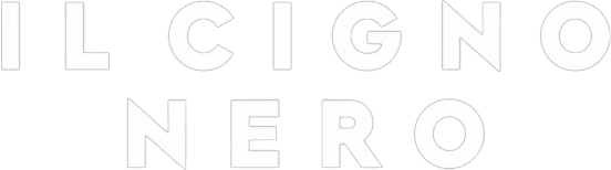 Il cigno nero