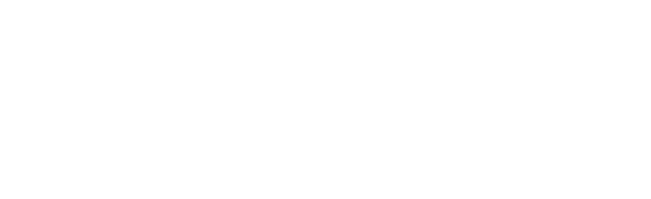 The American