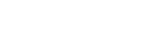 辣手槍