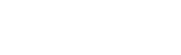 Il ragazzo e l'airone