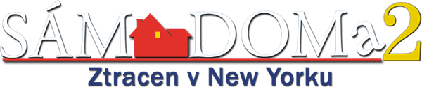 Sám doma 2: Ztracen v New Yorku