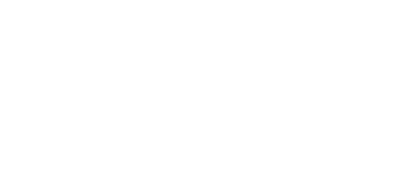 The Big Bus