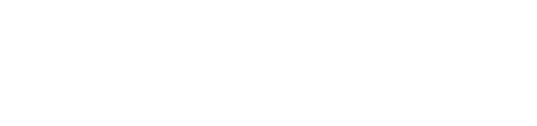 The Idea of You