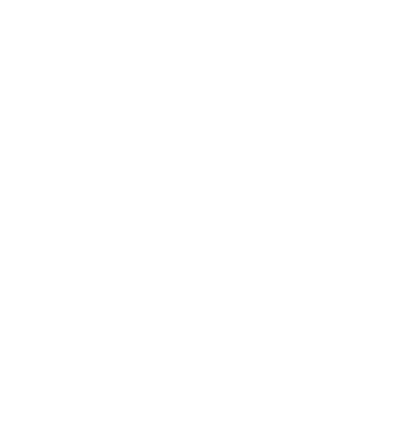 Operação Big Hero