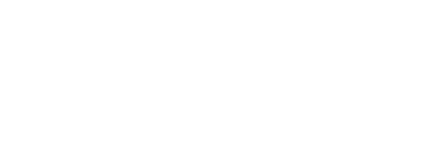 White Chicks - agentit minimekoissa