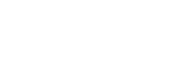 ברידג'ט ג'ונס: חוזרת לשוק