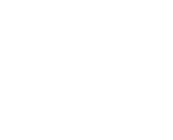 The Ritual – L’Exorcisme d’Emma Schmidt