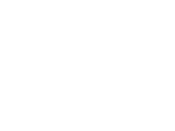 Šílený Max: Zběsilá cesta