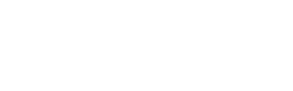 Meu Amigo Totoro