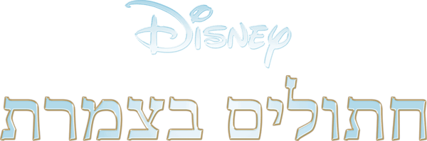 חתולים בצמרת
