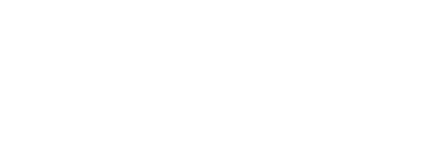 She Devils of the SS
