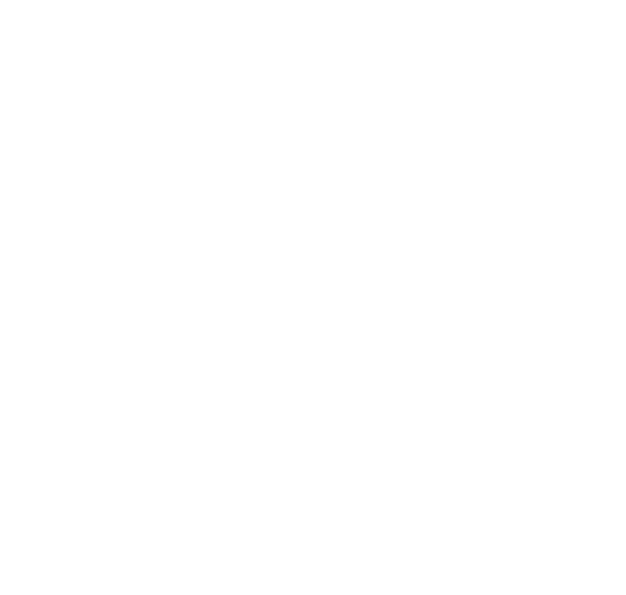 बुलेट ट्रेन