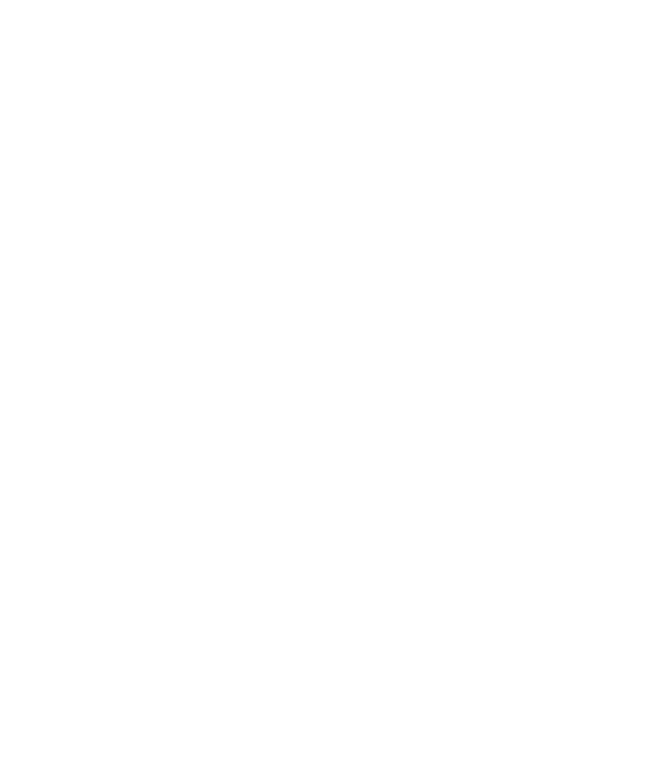 6 גיבורים