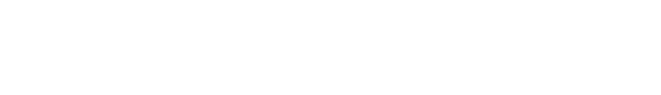 Kabin Bagajı