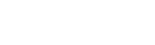 ספיד