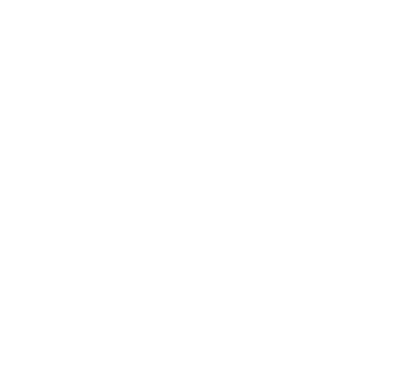 Mad Max: Furia en el camino