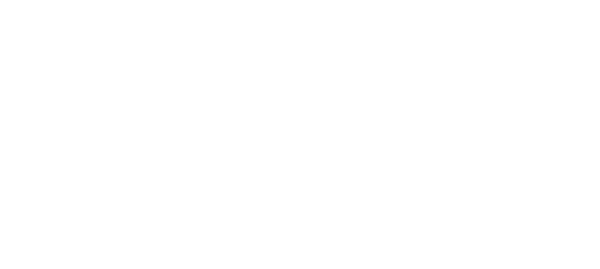 ワイルド・スピード／ファイヤーブースト