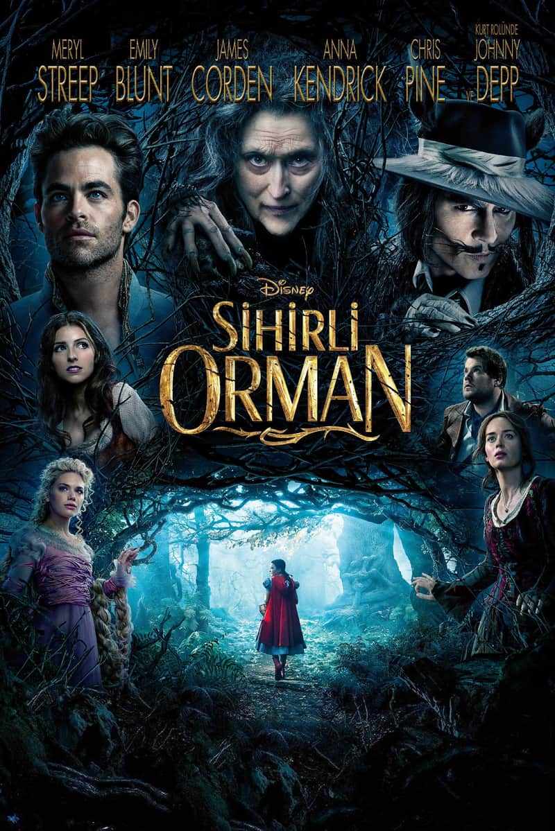 Sihirli Orman