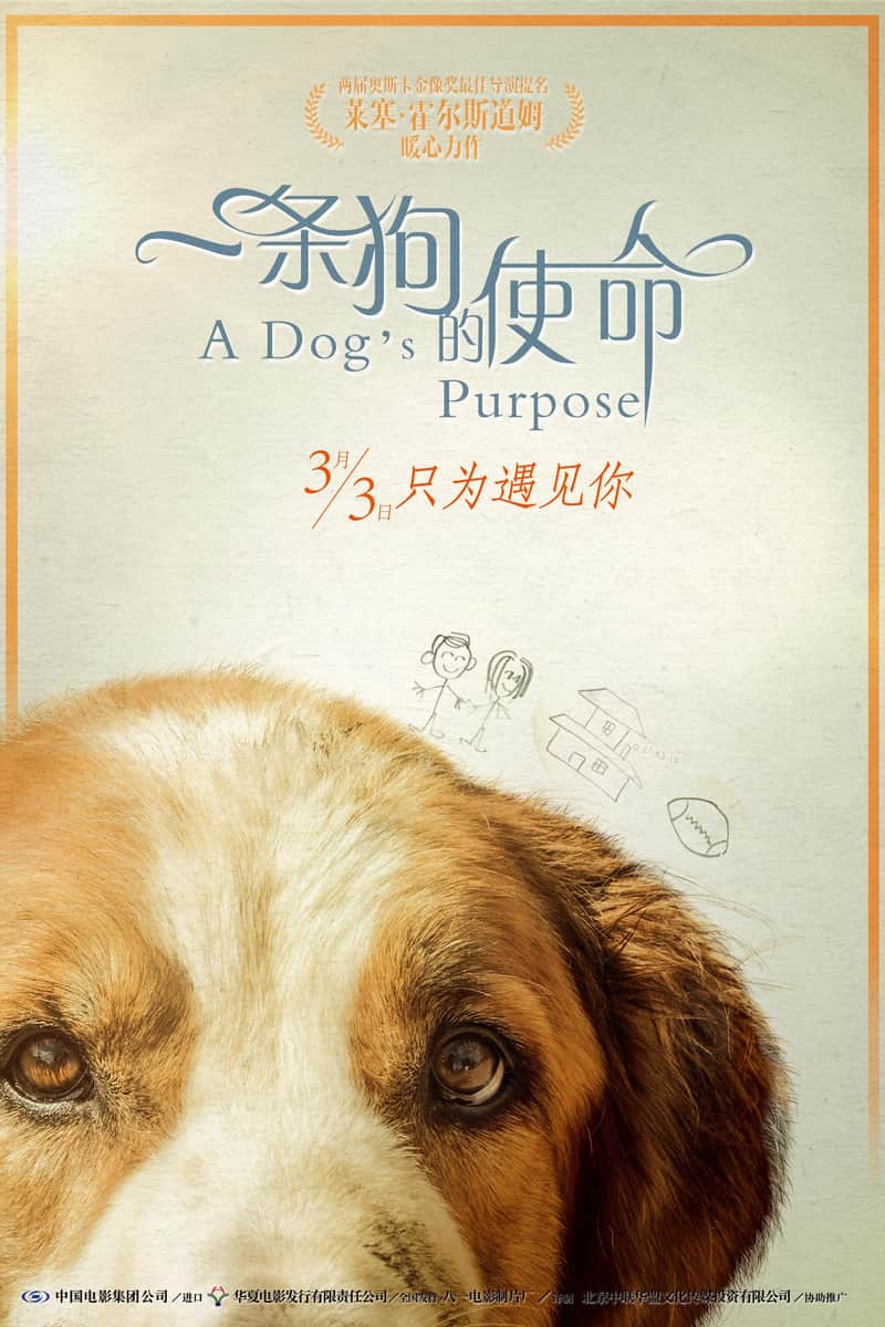 一条狗的使命