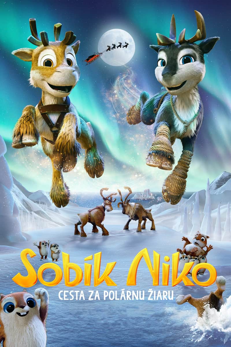 Sobík Niko a cesta za polárnu žiaru