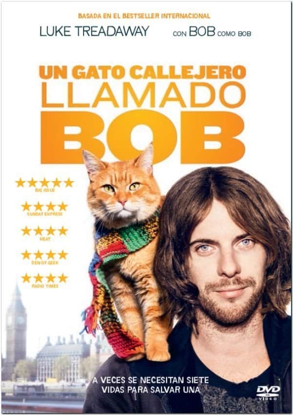 Un gato callejero llamado Bob