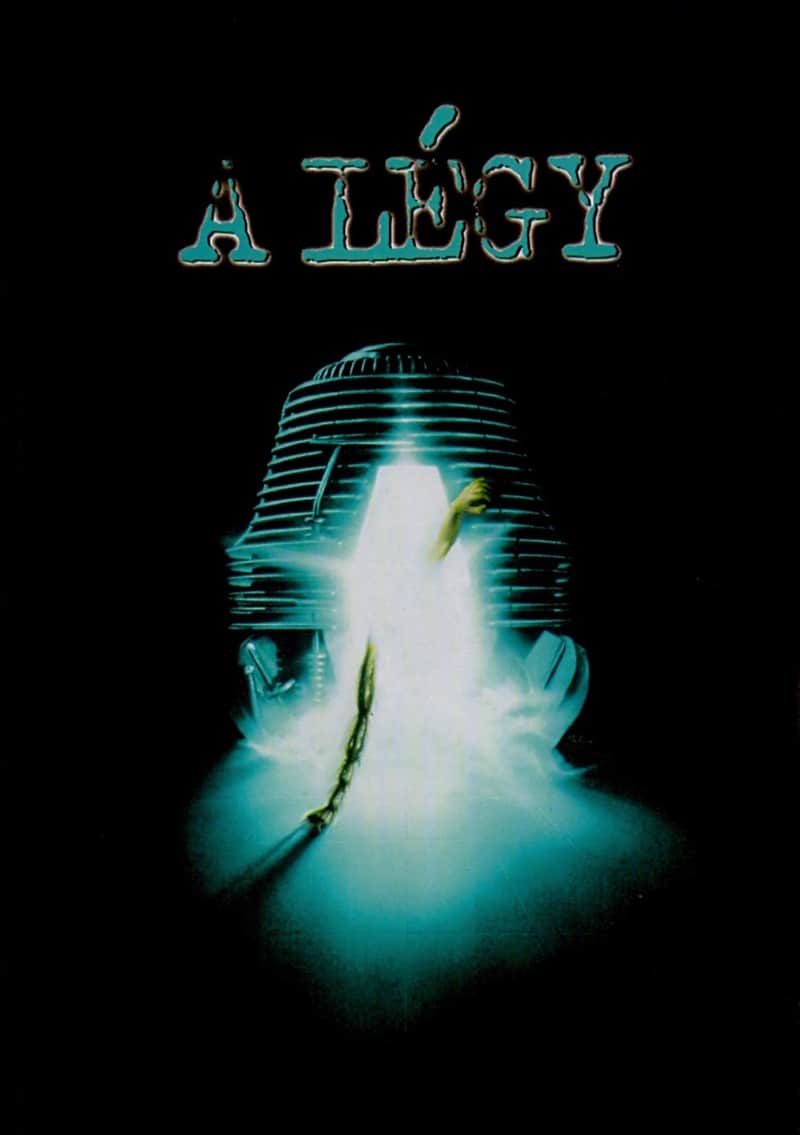 A légy