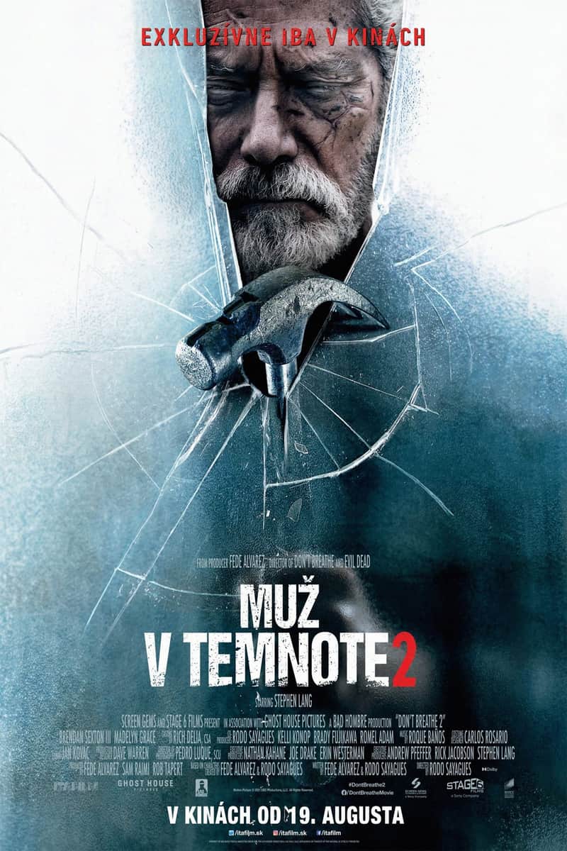 Muž v temnote 2
