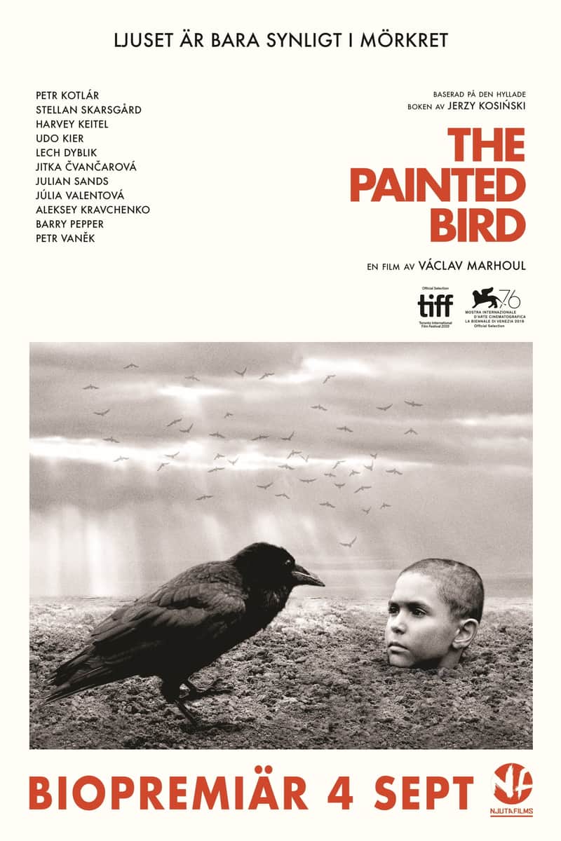 The Painted Bird