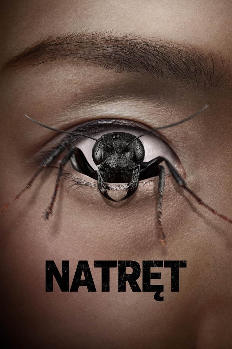 Natręt