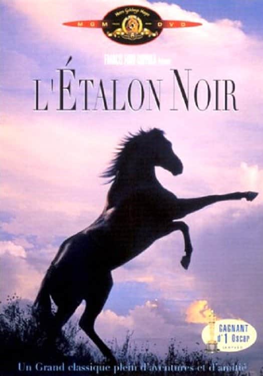 L'Étalon noir