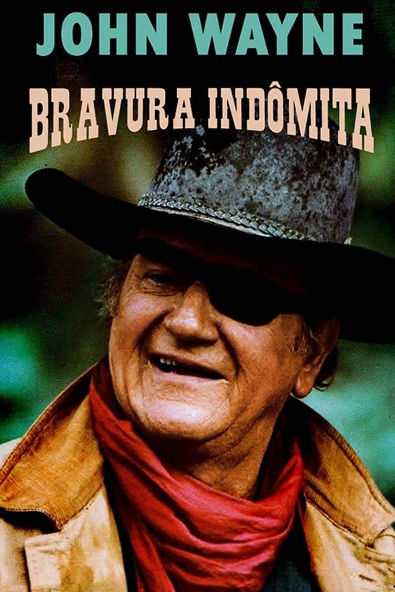 A Velha Raposa