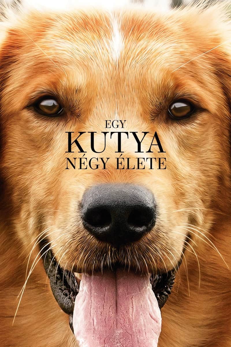Egy kutya négy élete