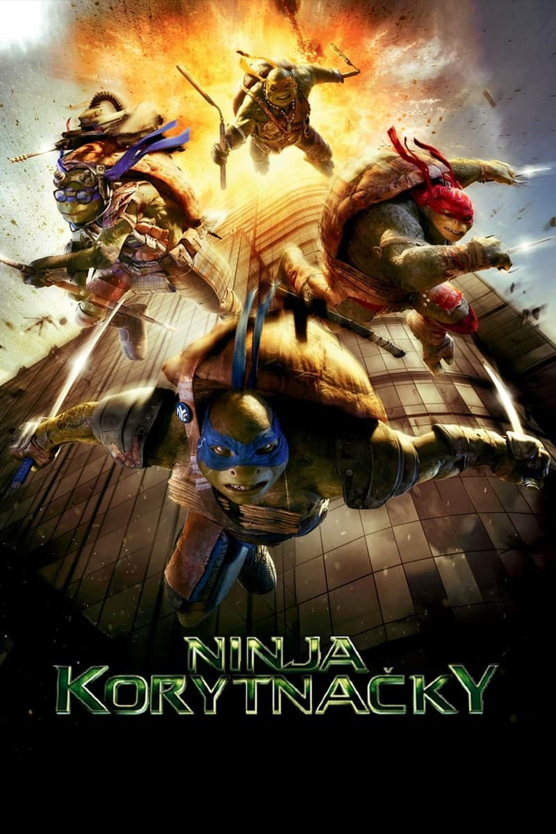 Ninja korytnačky