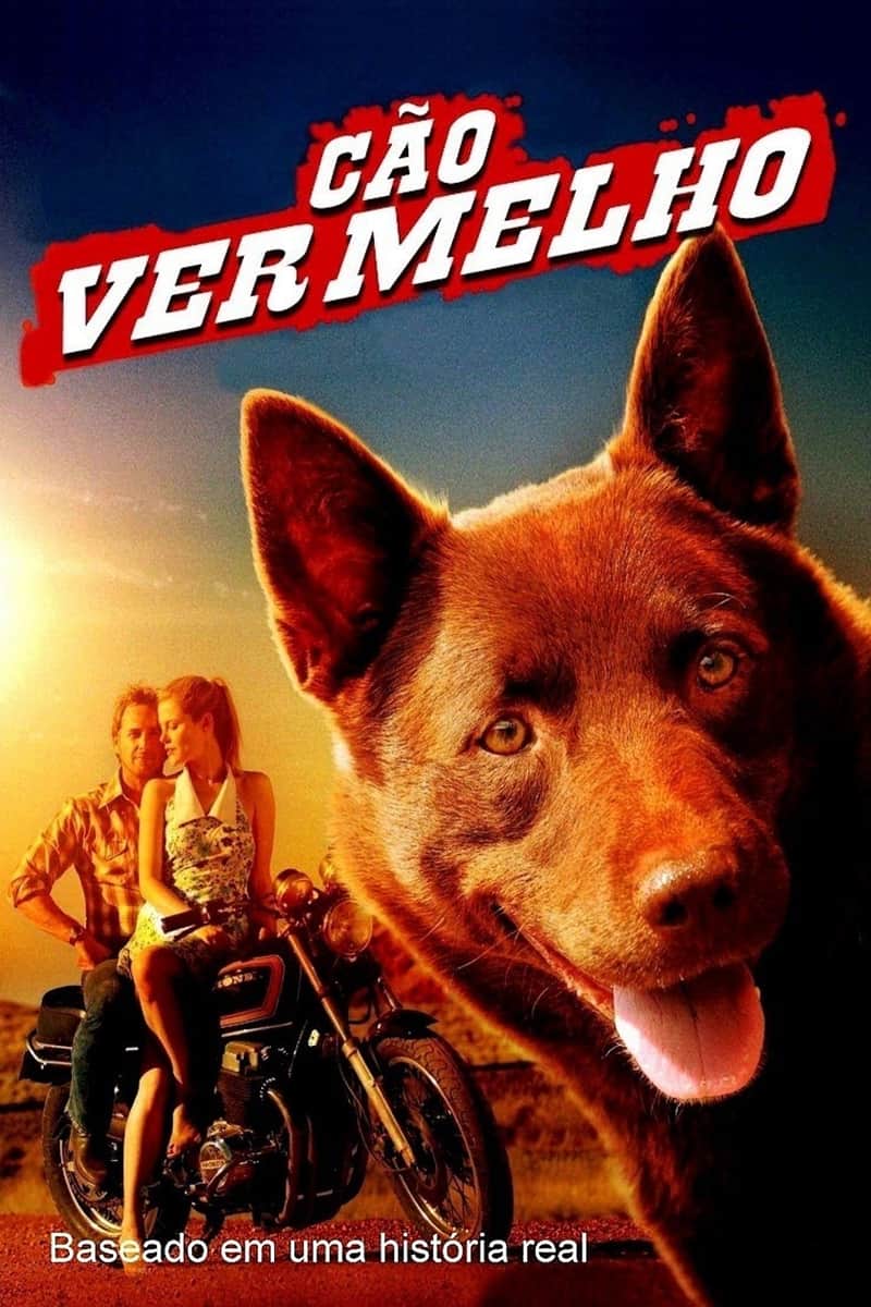 Cão Vermelho
