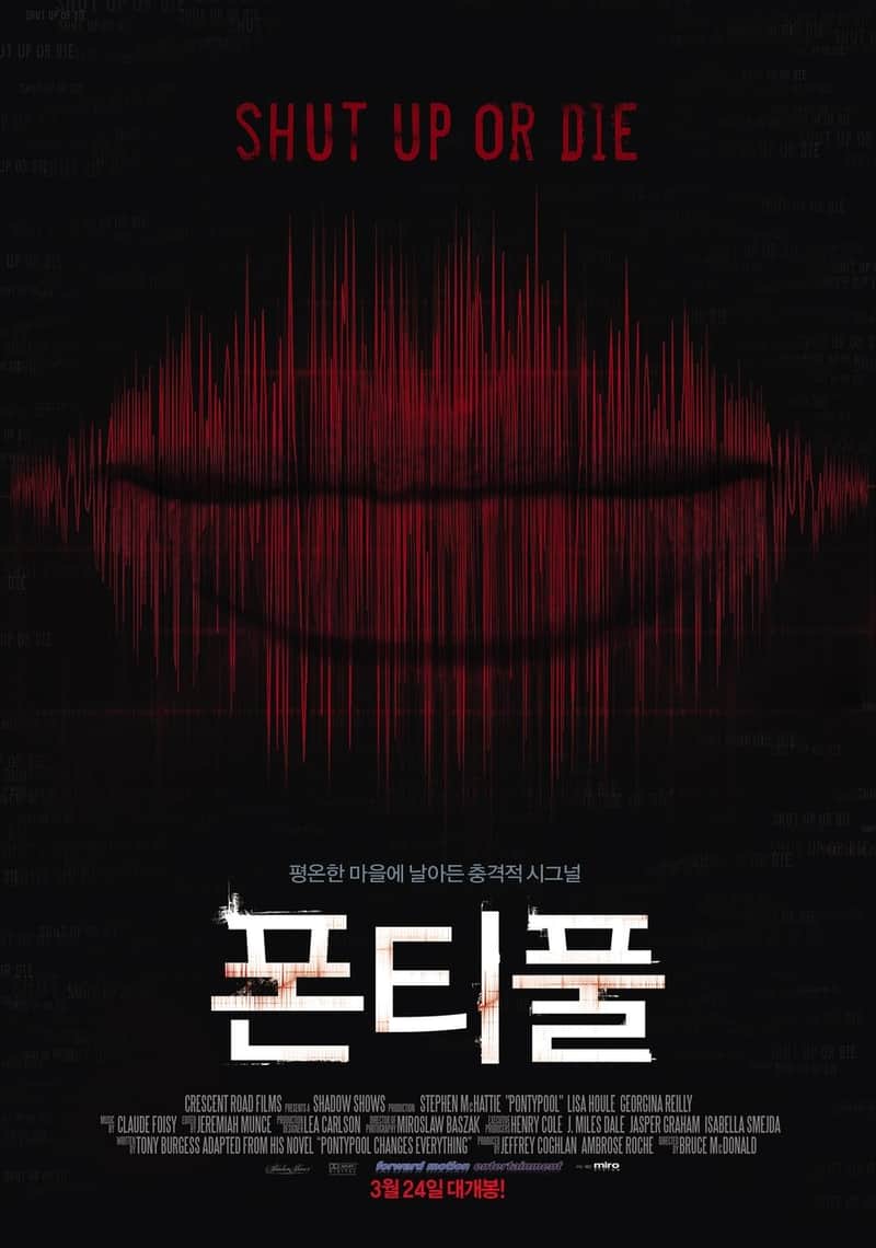 폰티풀