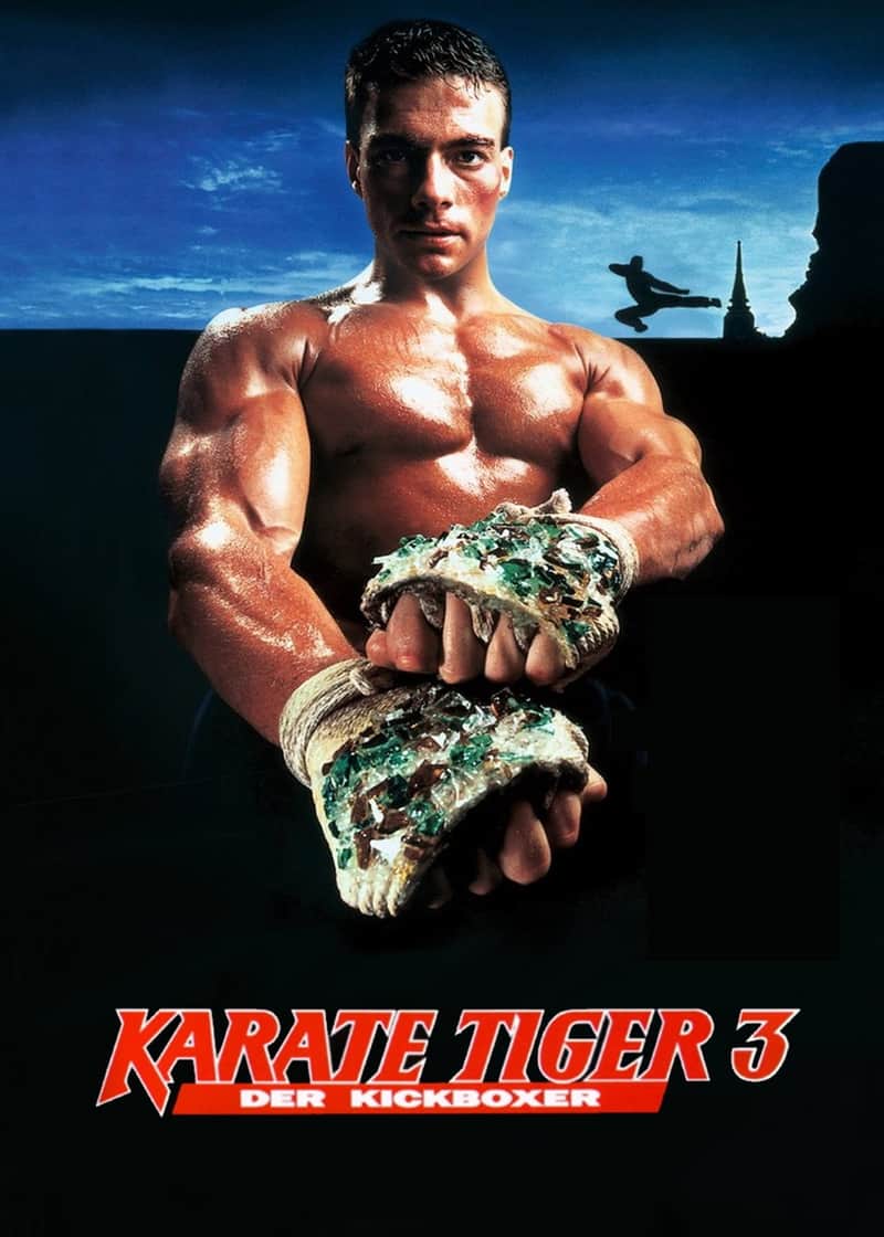 Karate Tiger 3 - Der Kickboxer
