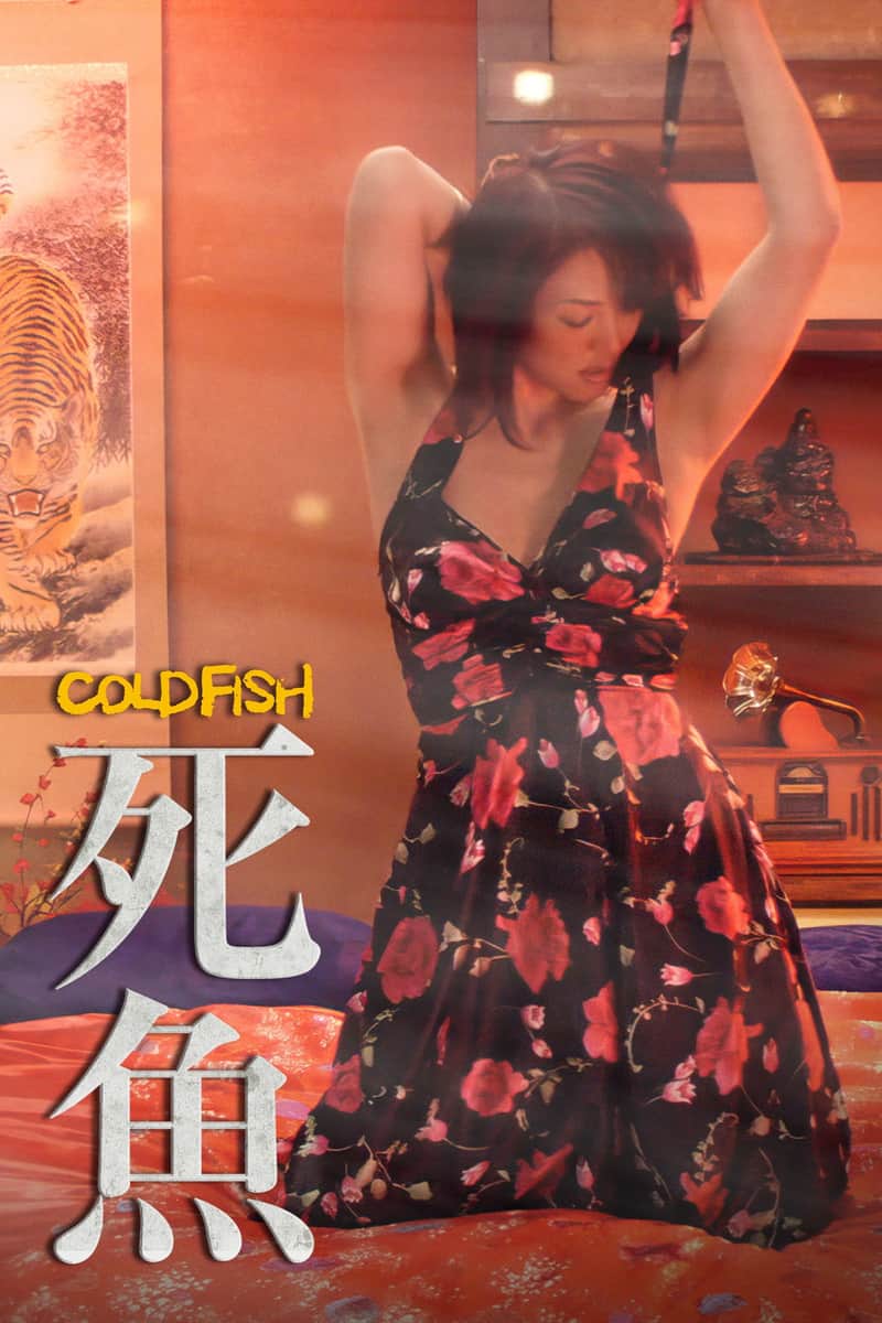 冰冷热带鱼