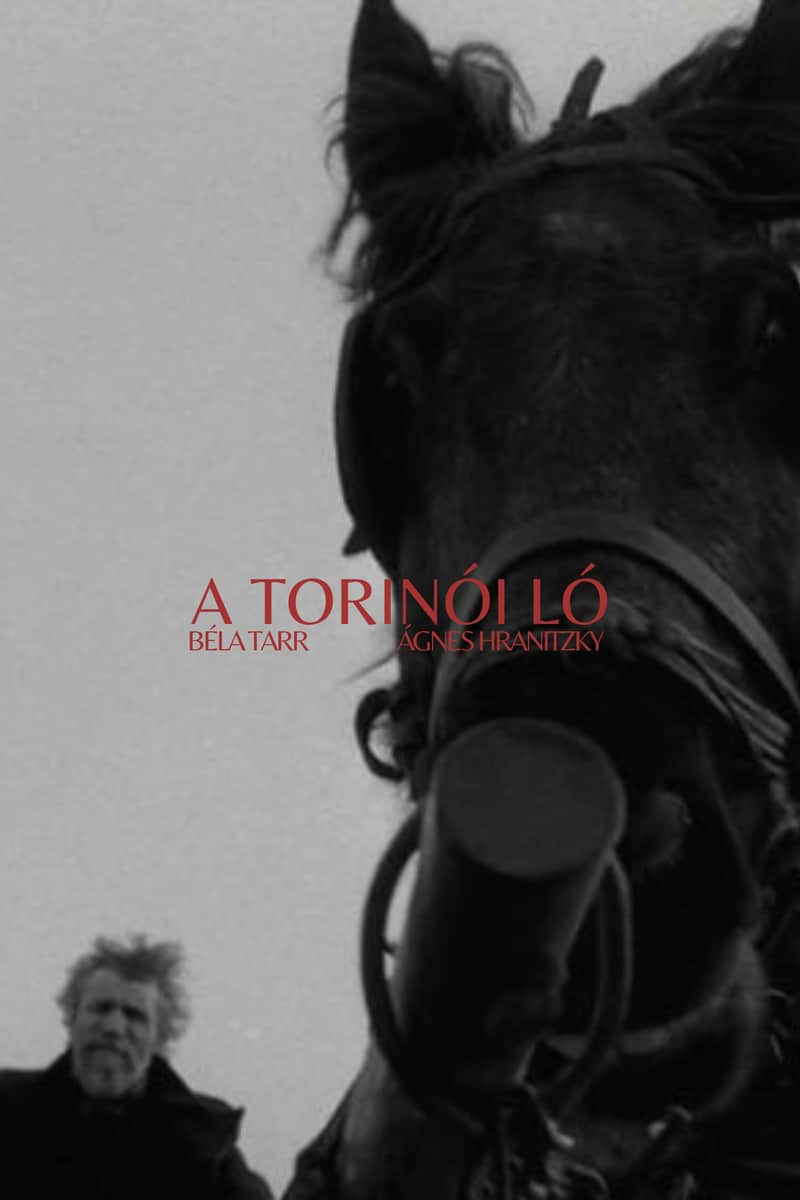 A torinói ló